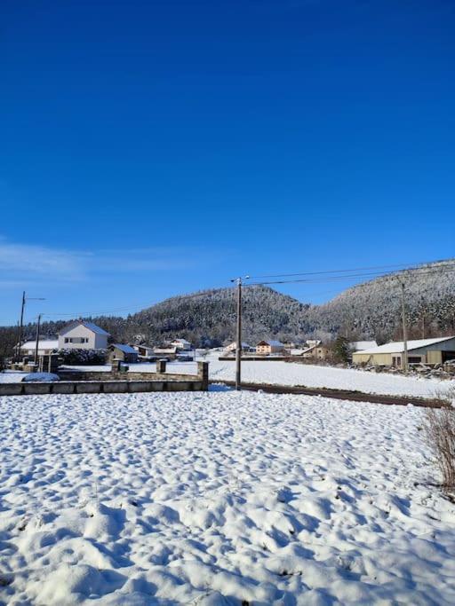 Gite Cosy Avec Avec Jardin Et Parking Privatifs - Hautes Vosges Saint-Ame Luaran gambar
