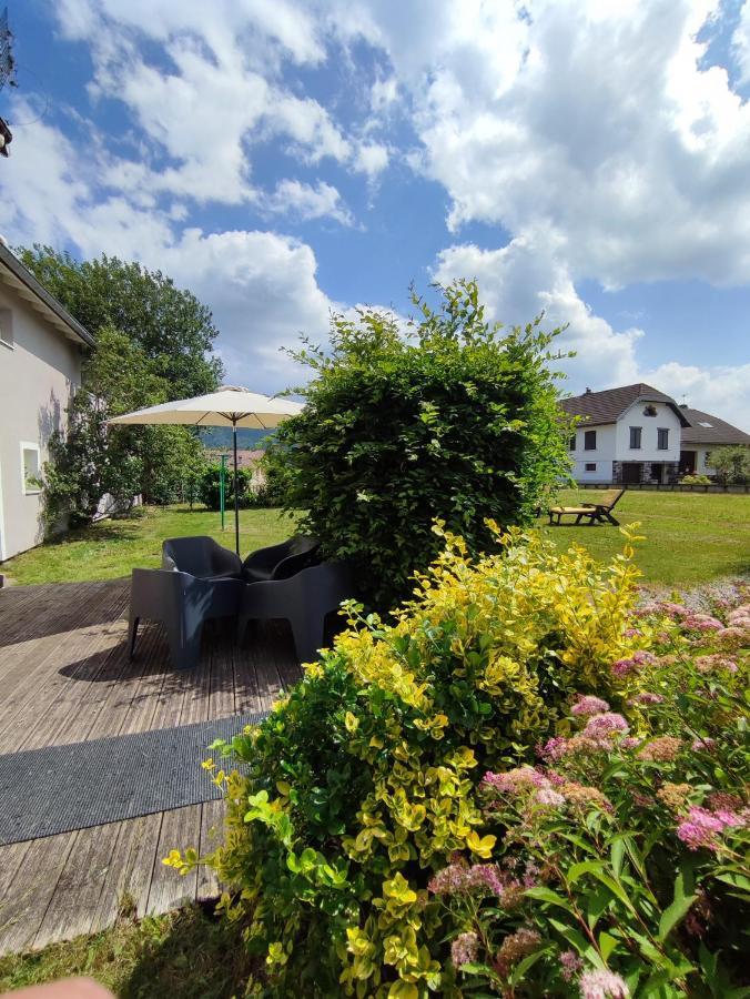 Gite Cosy Avec Avec Jardin Et Parking Privatifs - Hautes Vosges Saint-Ame Luaran gambar