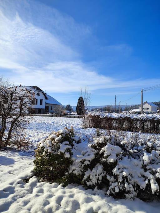 Gite Cosy Avec Avec Jardin Et Parking Privatifs - Hautes Vosges Saint-Ame Luaran gambar